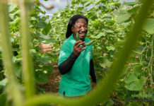 Sera konosí ku e kunukero Siegmar Sophia