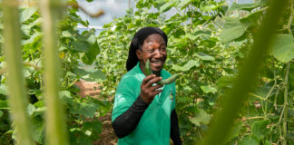 Sera konosí ku e kunukero Siegmar Sophia
