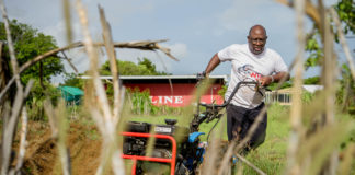 Sera konosí ku e kunukerro Henny ‘Barba’ Barbolina