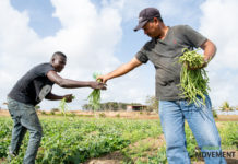 Sera konosí ku kunukeronan Texeira da Camara
