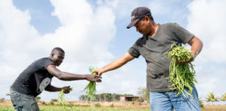 Sera konosí ku kunukeronan Texeira da Camara