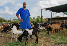 Sera konosí ku e kunukero Eithel Joubert