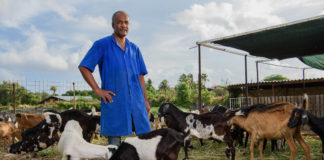 Sera konosí ku e kunukero Eithel Joubert