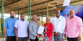 4 Mion pa Little League Ballpark Kòrsou