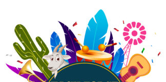 Fundashon Vishon Banda Bou (VIBA) enkargá ku Karnaval Banda Bou 2025 – 2027