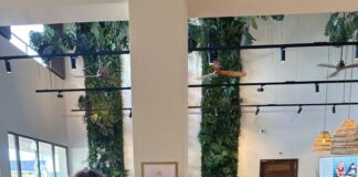 Dolphin Suites behaald Travelife Gold Award Status