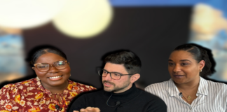 WeConnect Podcast tokante braingain