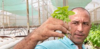 Hortikultor di yerba Roberto Vargas Ortega tin kasi tur kos den su mes man. “Mi por biba di esaki, anto e ta hasi mi kontentu.”