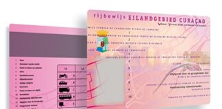 Saka bo reibeweis promé bo bai studia afó