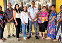 Informashon di Digitalisashon na SITEK