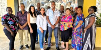 Informashon di Digitalisashon na SITEK