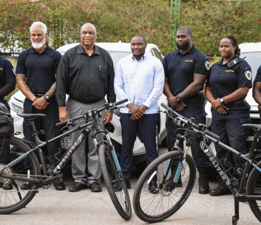 Politur ta risibí 6 vehíkulo nobo